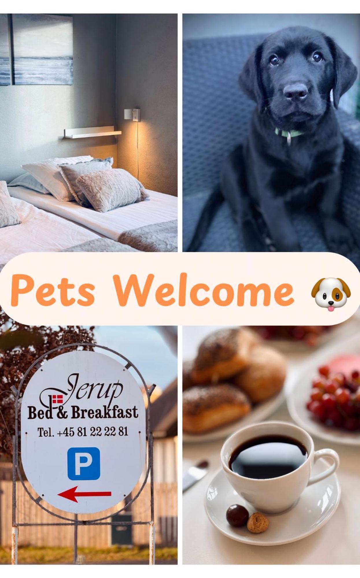 Jerup Bed & Breakfast Εξωτερικό φωτογραφία
